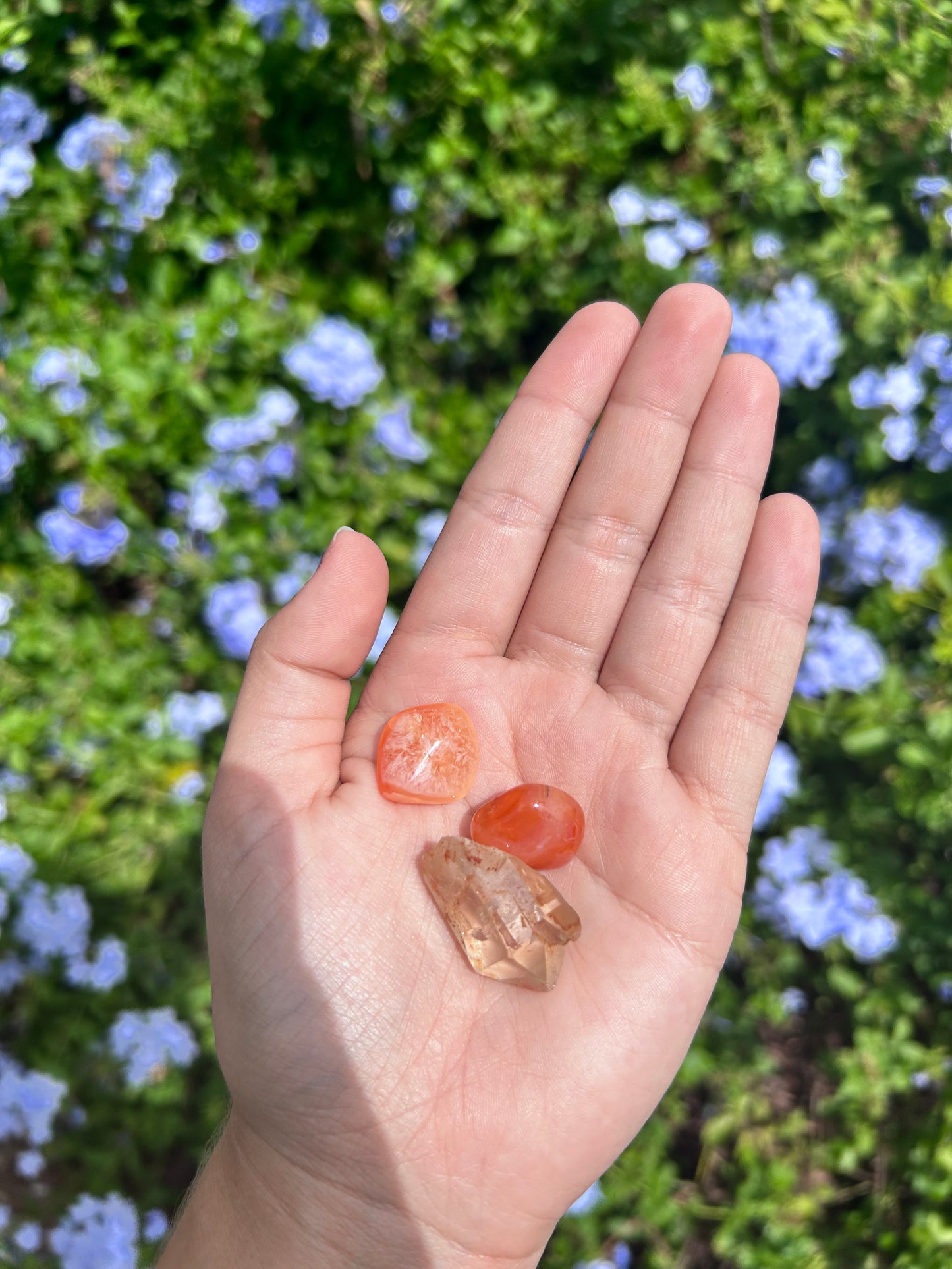 Tumbled Banded Carnelian and Citrine Bundle