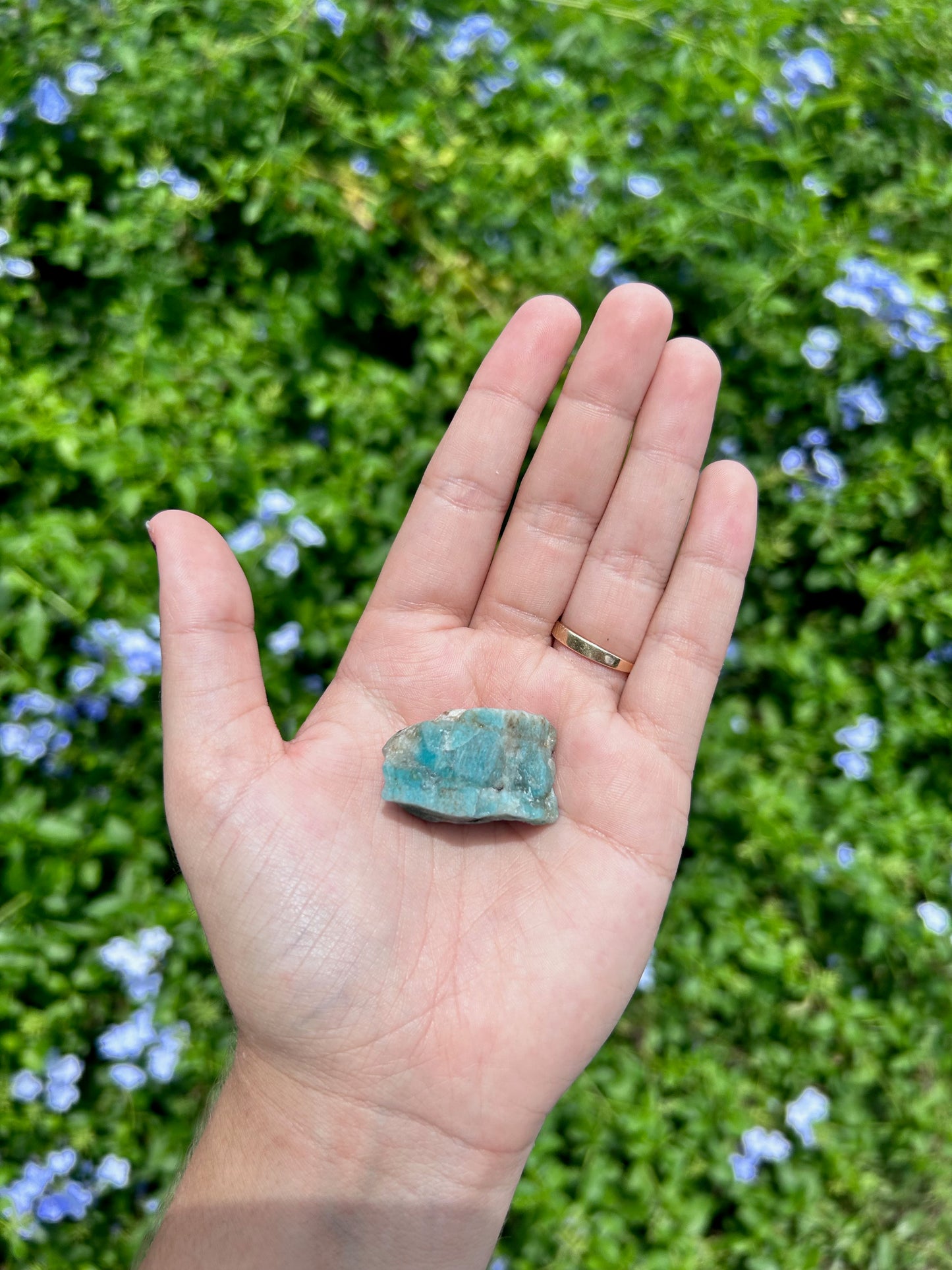 amazonite stone being held in hand. 0.5 oz. background is outside with leaves and blue flowers. 